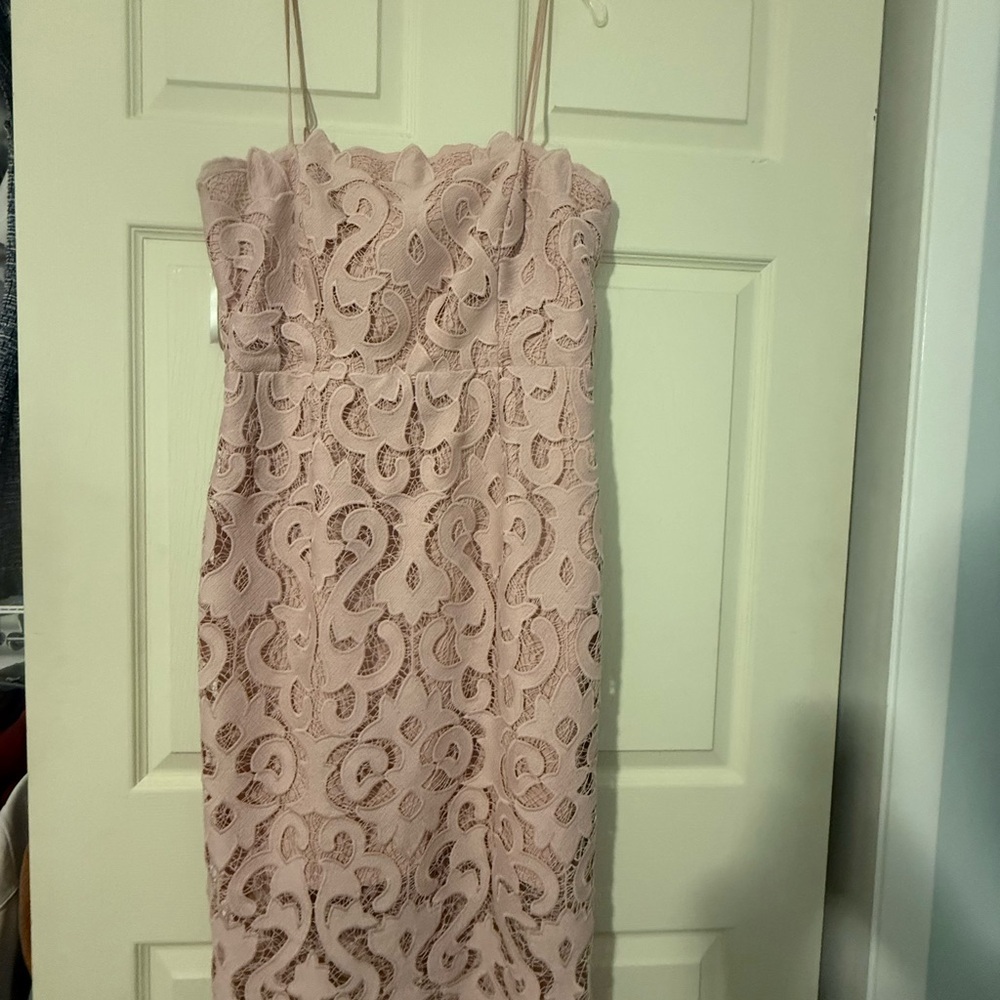 Bardot Strapless Blush Lace Dress